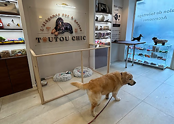 TOUTOU CHIC PARIS image 3 Paris Dog Grooming TOUTOU CHIC PARIS image 3