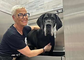 Tendance Chien Et Chat image 3 Lille Dog Grooming Tendance Chien Et Chat image 3