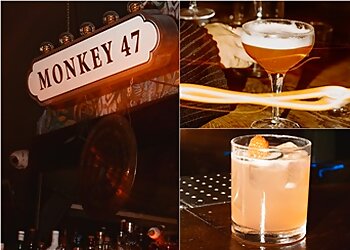 The Monkey Club image 3 Lyon Bars The Monkey Club image 3