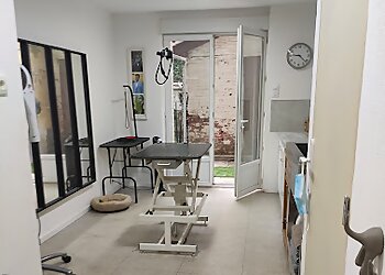 Toilettage Fauriel image 2 Meilleurs Salons de Toilettage De Chien à Saint-Étienne Toilettage Fauriel image 2