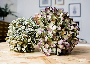 Tristan Perrier image 3 Bordeaux Photographers Tristan Perrier image 3