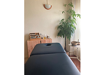 Tuibolhes image 2 Meilleure Acupuncture à Lyon Tuibolhes image 2