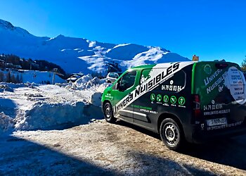 Univers Nuisibles image 3 Toulon Pest Control Univers Nuisibles image 3