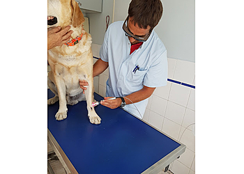 Univet Veterinary Clinic Paris Wagranville image 3 Paris Veterinarians Univet Veterinary Clinic Paris Wagranville image 3