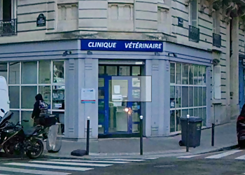 Paris Veterinarians Univet Veterinary Clinic Paris Wagranville image 1