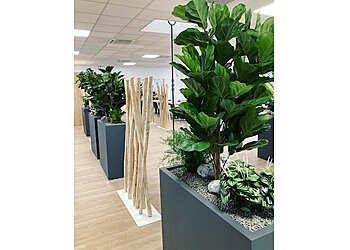 Vesta Creation image 2 Meilleures Paysagistes à Toulouse Vesta Creation image 2