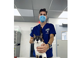 Vet-Urgentys Ouest image 3 Toulouse Veterinarians Vet-Urgentys Ouest image 3