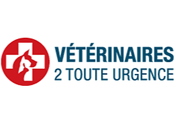 Vétérinaires 2 Toute Urgence image 2 Marseille Veterinarians Vétérinaires 2 Toute Urgence image 2