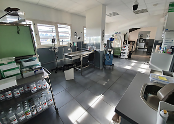 Vétérinaires 2 Toute Urgence Toulon image 2 Toulon Veterinarians Vétérinaires 2 Toute Urgence Toulon image 2