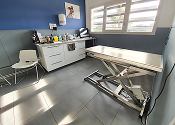 Vétérinaires 2 Toute Urgence Toulon image 3 Toulon Veterinarians Vétérinaires 2 Toute Urgence Toulon image 3