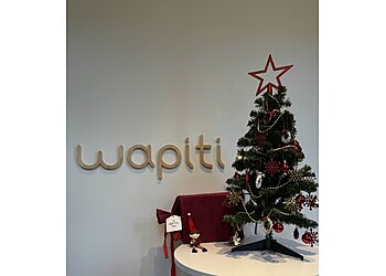 Meilleurs Agences de création de site web à Lille Wapiti image 1