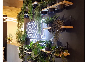 Yanomami image 2 Meilleures Paysagistes à Lyon Yanomami image 2