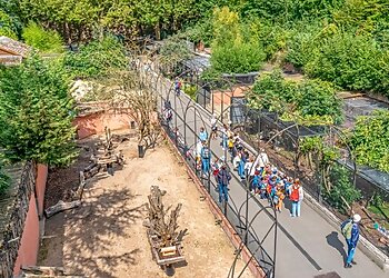 Zoo de Lille image 2 Meilleurs Lieux À Visiter à Lille Zoo de Lille image 2