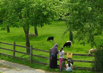 Écomusée de la Bintinais image 2 Rennes Places To Visit Écomusée de la Bintinais image 2